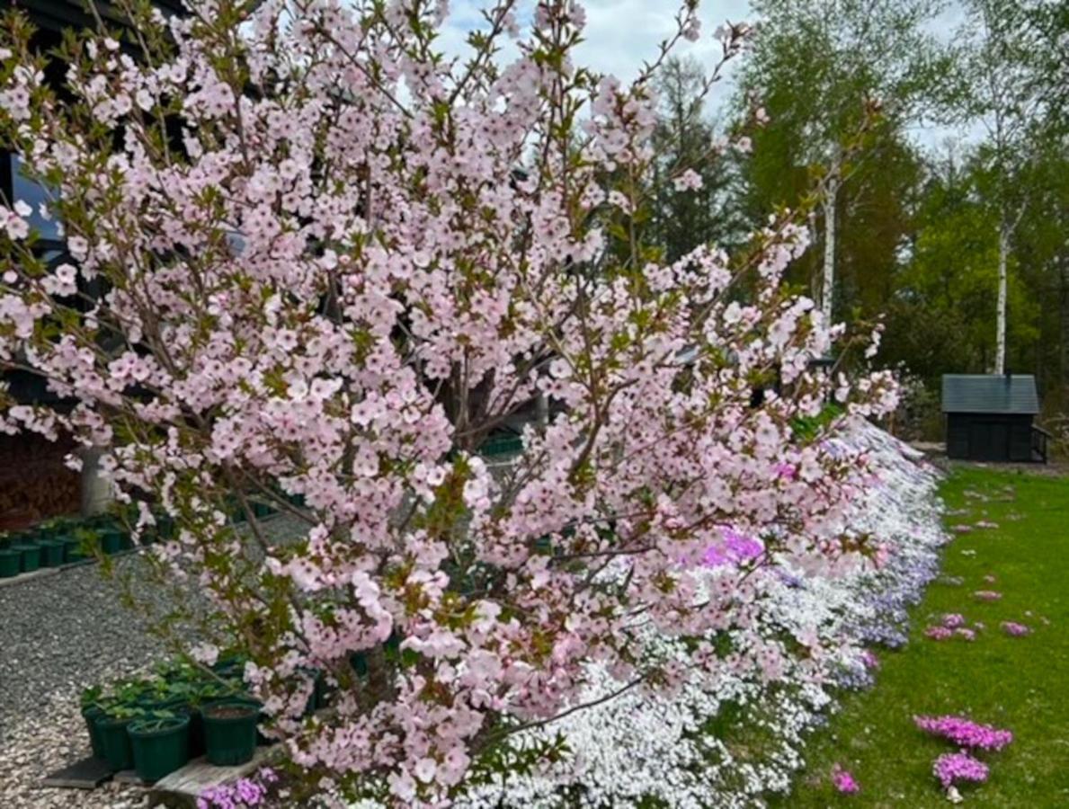Ritz Garden Niji Guest House Бией Екстериор снимка