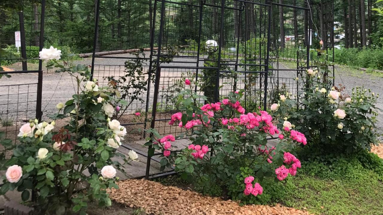 Ritz Garden Niji Guest House Бией Екстериор снимка